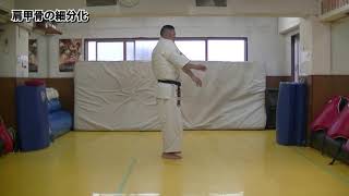【新極真会】塚本支部長の肩甲骨の細分化(空手LIFE 2021年3-4月号) SHINKYOKUSHINKAI KARATE 【新極真会】塚本支部長の肩甲骨の細分化(空手LIFE 2021年3-4月号) SHINKYOKUSHINKAI KARATE