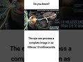 speed of sight