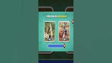 How Good Is Your Knowledge of ANIMALS? 2 🧠🦁🐘 #shorts