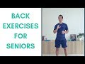 Simple Lower Back Exercises for Seniors (Lumbar Spine Exercises) | More Life Health