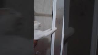 Banyodan Korkan Eskobar.