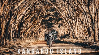 Exploring Kangaroo Island on my solo motor cycle camping adventure. ROAM  S2 E5