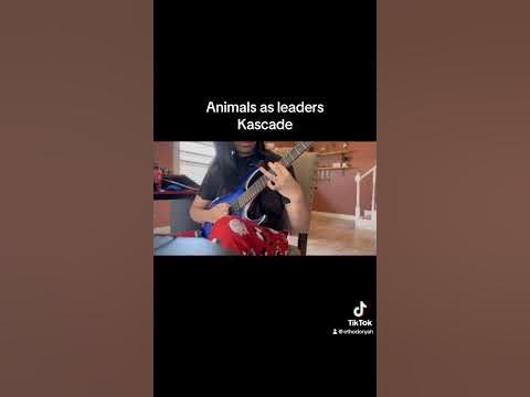 Kascade animals as leaders - YouTube