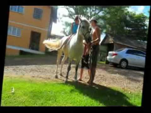 familia martins annie e pedro ferias vero 2010-2011 marques de souza rio grande do sul.mp4