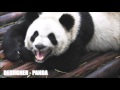 Desiigner - Panda [BASS BOOSTED] *CLEAN BASS*