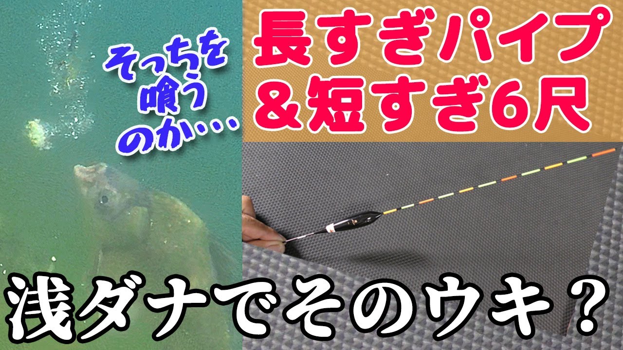 【消し込み連発】短竿で長すぎパイプトップ！ヒゲトロやダンゴをヘラブナが喰う瞬間を水中激写！