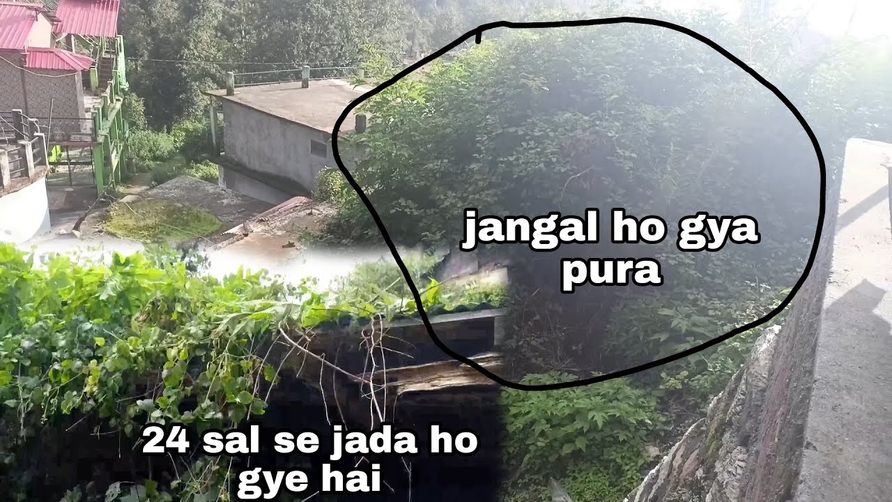 24 sal purani biscuit factory ke saaf Safai halat kharab #apna_pahadi ...