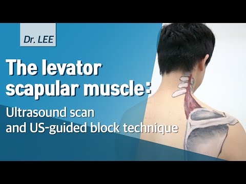 Видео: Levator Scapulae Muscle Произход, функция и анатомия - Карти на тялото