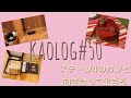 【vlog】がんサバイバーの日常vlog。猫とルンバの初対面、1日早めのクリスマスご飯。