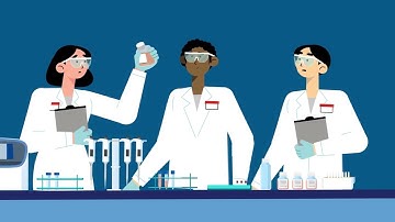 Gibco FBS performance-based categories are based on science, not geography