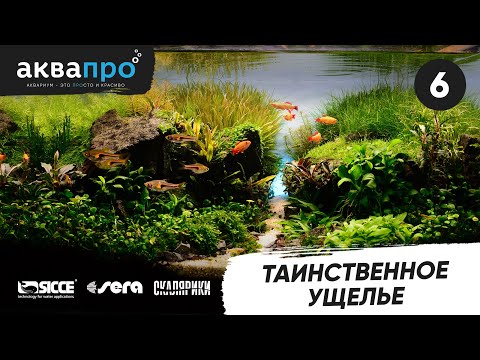 Видео: 6. Таинственное ущелье #АкваПро