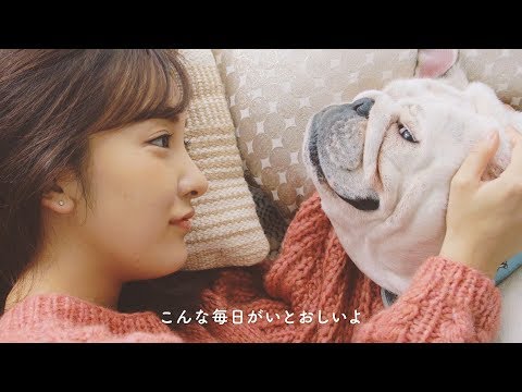 板野友美、かわいいワンちゃんたちにほっこり！　UCC「BEANS & ROASTERS」動画「#愛犬ほっこりあるある」