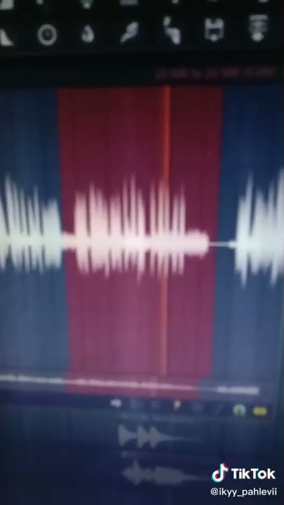 Dj welo welo kang copet