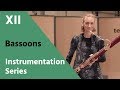 Bassoon and Contrabassoon - David Newman Instrumentation Series