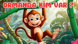 Ormanda Kim Var ? Hayvanlar Şarkısı - Eğlenceli Bebek Ve Çocuk Şarkıları - Çizgi Film