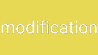 Modification Definition & Meaning