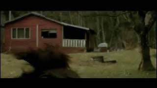 Download lagu German Twilight 2- New Moon (mennonite)