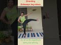 Standing leg raises workout | Squat to cross body crunch