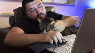 Henry The Cat Is Learning Computer