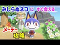 メーデー!みしらぬネコに合ってきた!【あつまれどうぶつの森/あつ森】