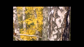 Multiple pathways to sustainable development:  China - Ecological civilization