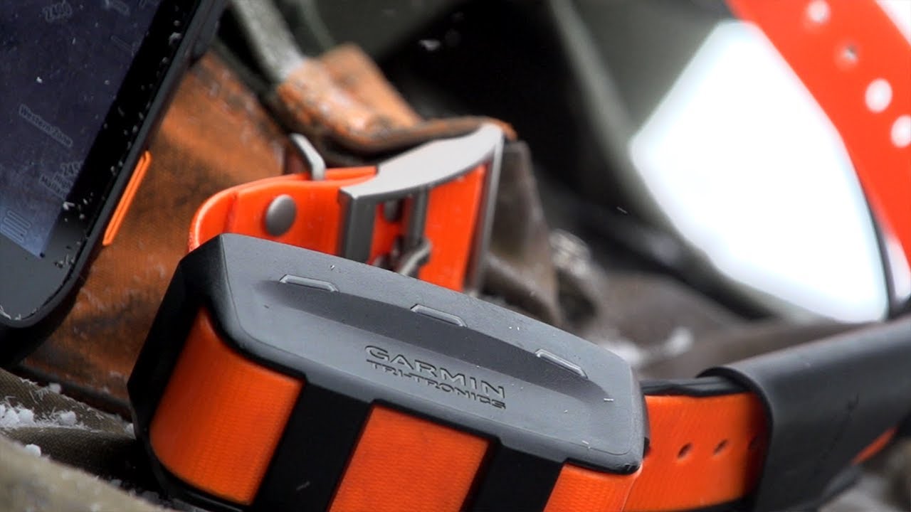 Pairing A Collar To The Garmin Alpha 200i YouTube