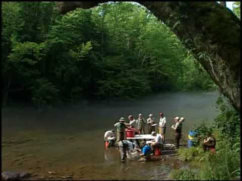 A Virginia Jewel: The Smith River