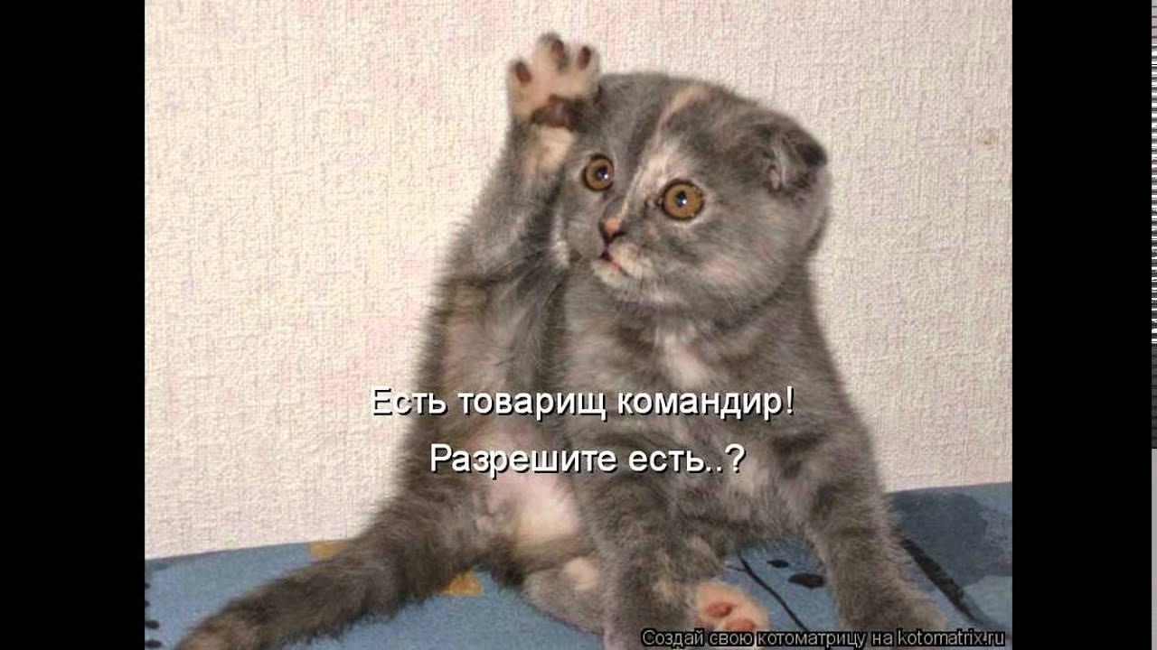 И ни капельки не стыдно И ни капельки не стыдно