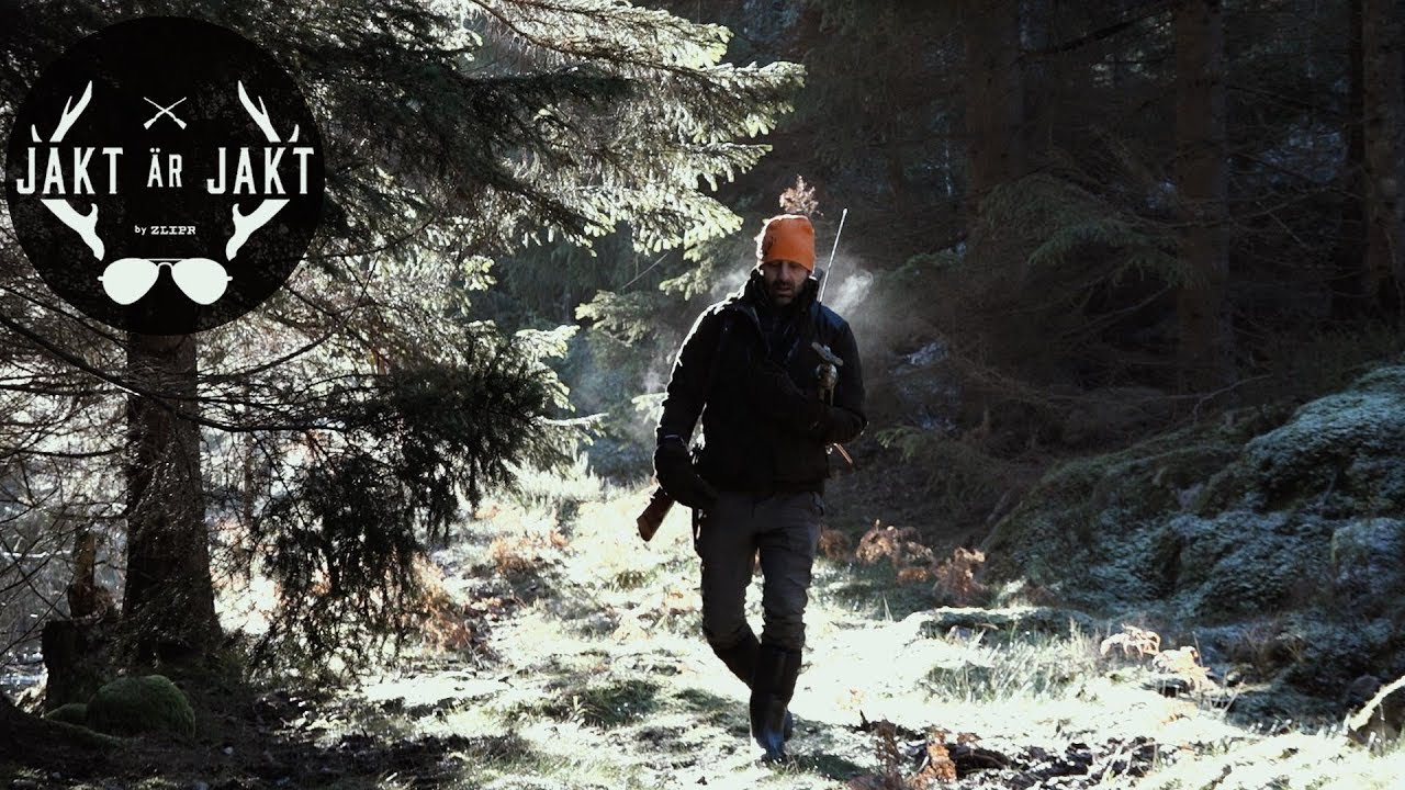 Två dagars drevjakt i Östergötland  - Jakt är Jakt jagar dovhjort o vildsvin