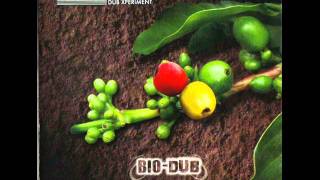 moonlight dub experiment pachamama