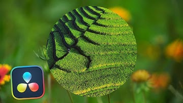 Oval Iris transitionl  Davinci Resolve 20