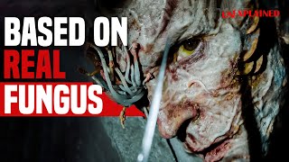LAST OF US fungus is Real and could lead to a APOCALYPSE?!