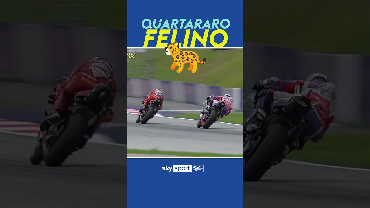 Quartararo felino