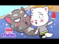 Healthy Habits NEW Talking Tom Friends Minis Compilation 