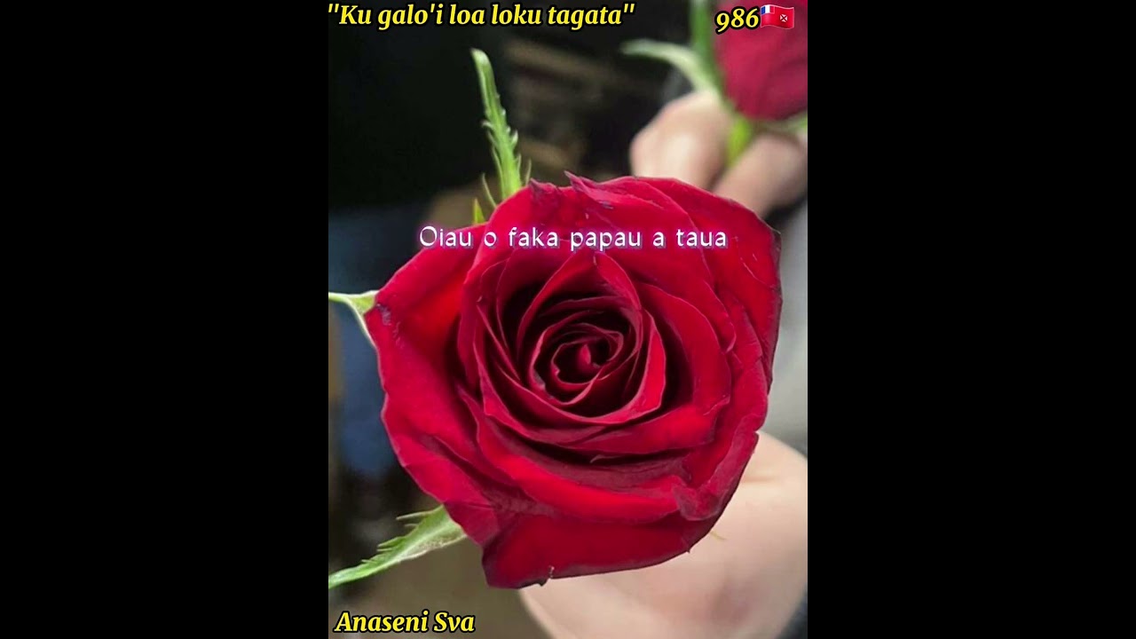 Ku galoi loa loku tagata   ParolesLyrics