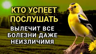 ☝️ ИСЦЕЛЯЕТ ВСЕ БОЛЕЗНИ И ДАЖЕ ТЯЖЁЛЫЕ И НЕИЗЛЕЧИМЫЕ! дуа Всевышнему Аллаху 🤲💯