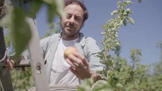 Prospera Credit Union: Small Business Month