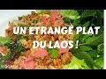 Un trange plat du laos  vlog 146