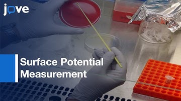Surface Potential Measurement Of Bacteria Using Kelvin Probe Force Microscopy l Protocol Preview
