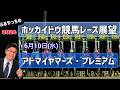 【2026ホッカイドウ競馬】6月10日(水)ホッカイドウ競馬レース展望~アドマイヤマーズ・プレミアム【門別競馬】
