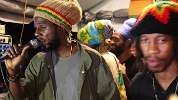 Chronixx - Perfect Tree (Live at Kingston Dub Club)