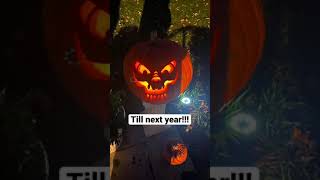 Easy Pumpkin carvings #shorts #happyhalloween #carving #pumpkin