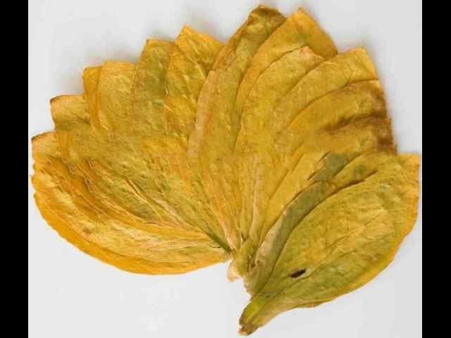 what is oriental tobacco Five to Try - Oriental Pipe Tobaccos