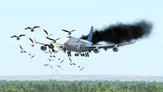 Worst Boeing 747 BirdStrike Emergency Landings Ever |Xplane11