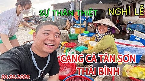 Trải Nghiệm Mua Hải Sản Tươi Sống Ở Cảng Cá Tân Sơn | Chợ Cá Sớm Nhộn Nhịp Nhất Thái Bình!