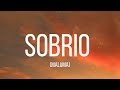 Maluma - Sobrio (Letra/Lyrics)