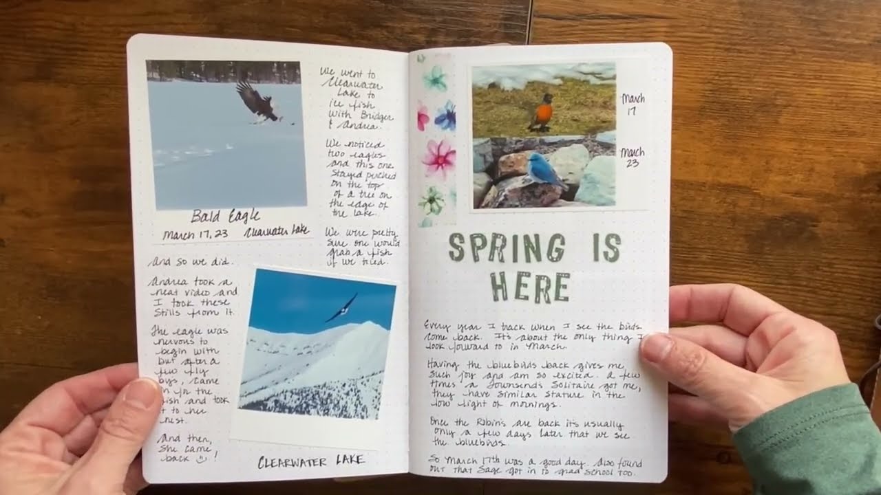 Nature Journaling - Just In Time For Spring