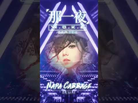 Napa Cabbage [EDM Remix] | G.E.M. 鄧紫棋 - 那一夜 Woke