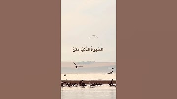 القرآن الكريم☘️|| سورة غافر – الآية 39|| بصوت القارئ المنشاوي☘️||..