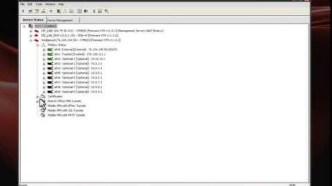 Simplify Security with WatchGuard Management Server